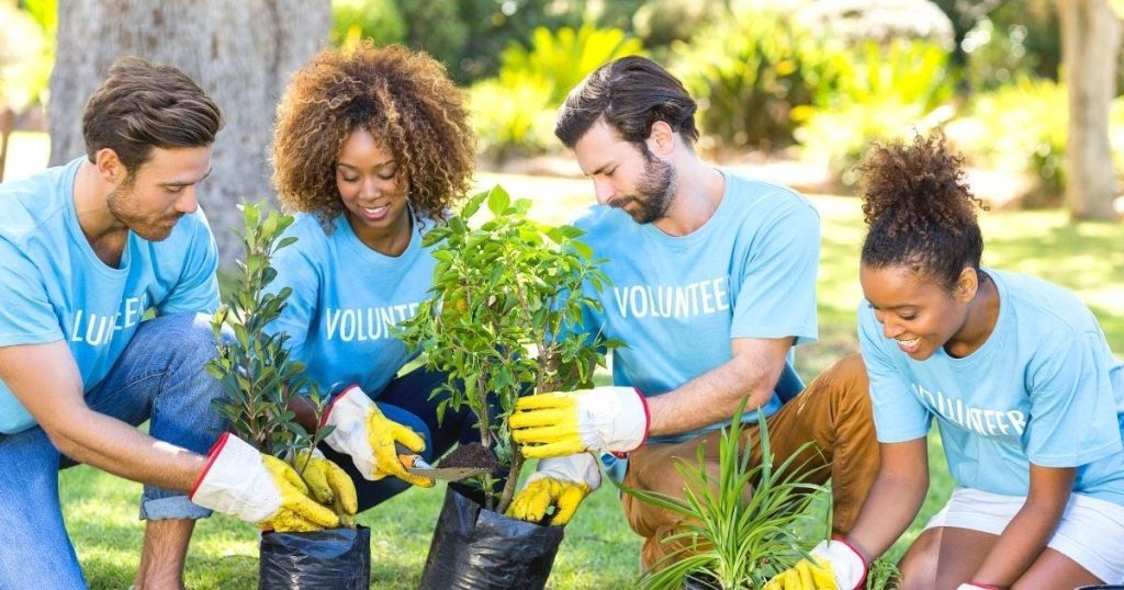 Volunteering 101: How to Get Involved with Local Nonprofits